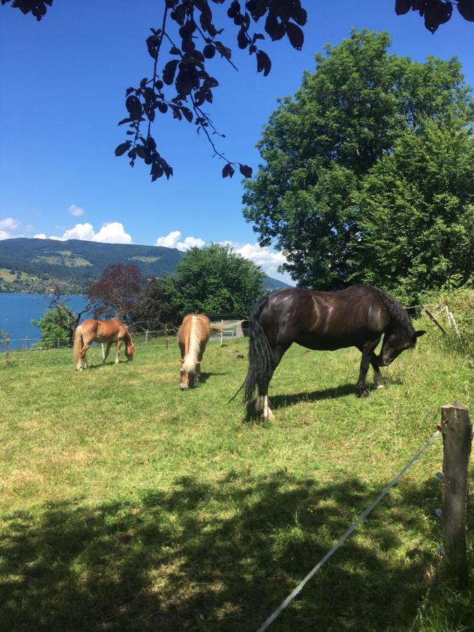 Feichtingerhof Villa Щайнбах ам Атерзее Екстериор снимка