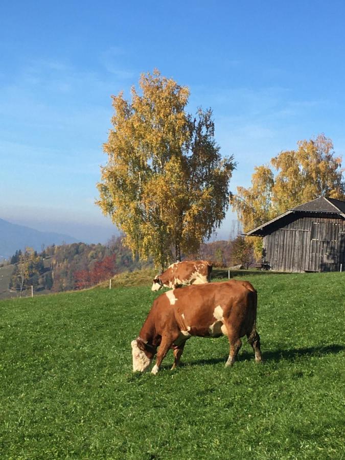 Feichtingerhof Villa Щайнбах ам Атерзее Екстериор снимка