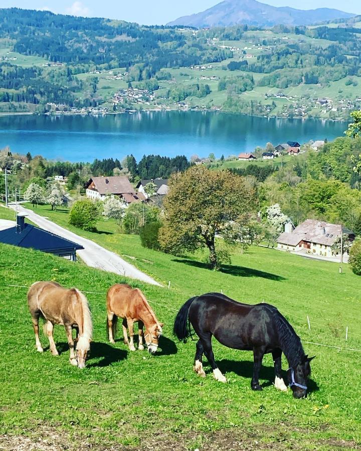 Feichtingerhof Villa Щайнбах ам Атерзее Екстериор снимка