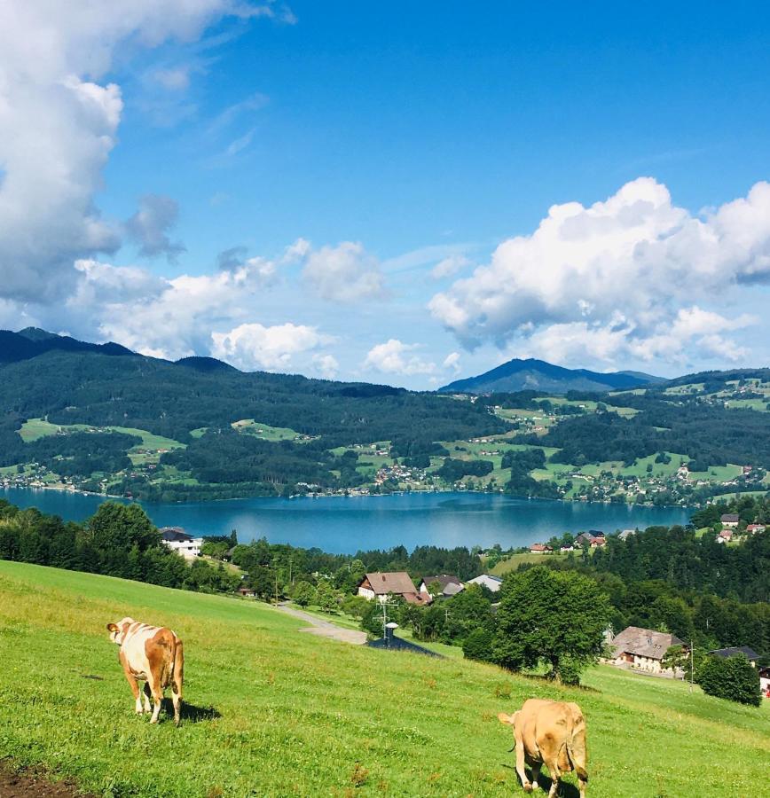 Feichtingerhof Villa Щайнбах ам Атерзее Екстериор снимка