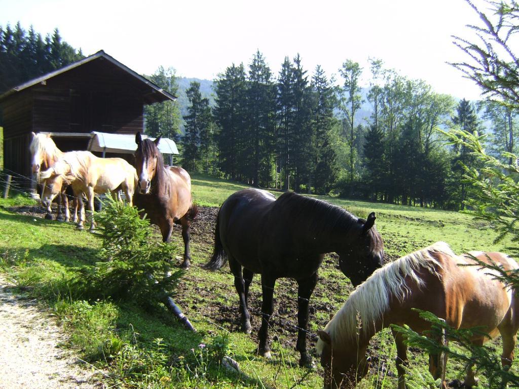 Feichtingerhof Villa Щайнбах ам Атерзее Екстериор снимка