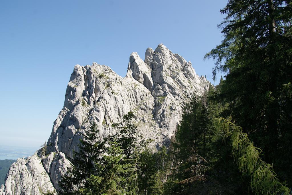 Feichtingerhof Villa Щайнбах ам Атерзее Екстериор снимка